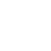 palmera